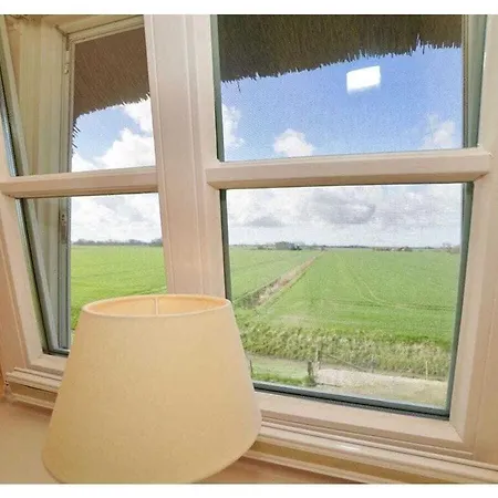 Suedfall Comfortable Holiday