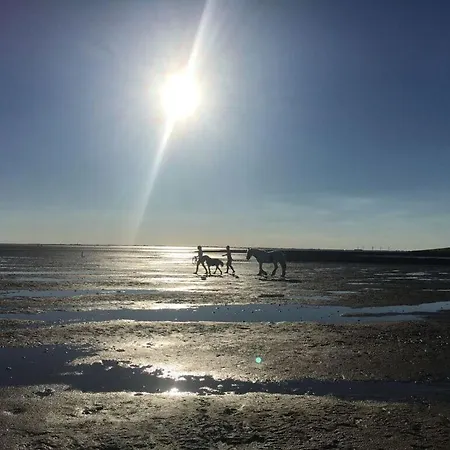 Suedfall Comfortable Holiday * Nordstrand